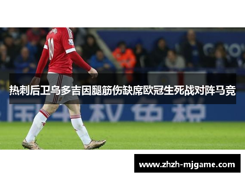 热刺后卫乌多吉因腿筋伤缺席欧冠生死战对阵马竞