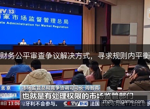 财务公平审查争议解决方式，寻求规则内平衡
